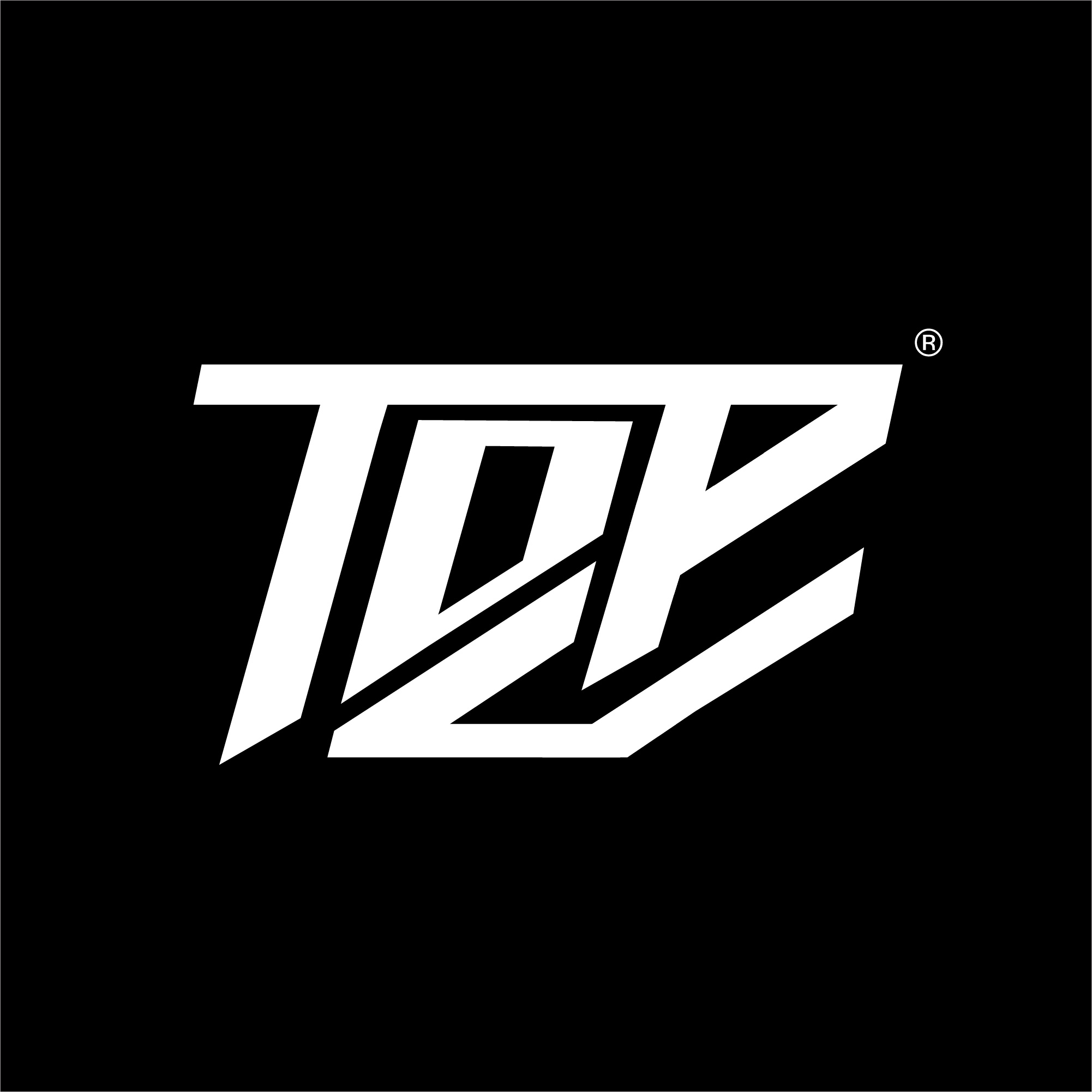 Topnoz Logo